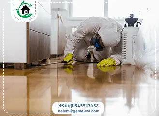 شركة مكافحة حشرات بالجبيل