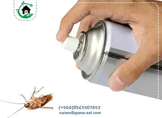 رش ومكافحة الصراصير بالقطيف