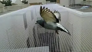 شركة تركيب طارد الحمام