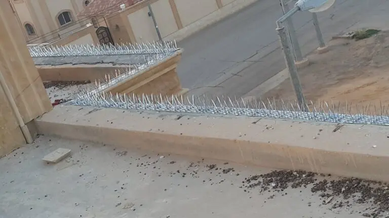 شركة طارد الحمام