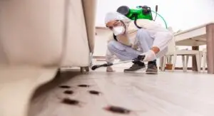 شركة مكافحة بق الفراش بالدمام
