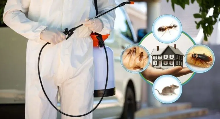 مكافحه بق الفراش بالدمام