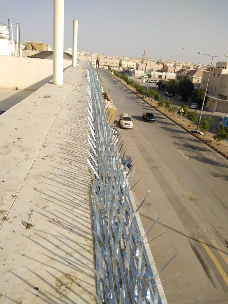 خطوات تساعدك على التخلص من الحمام خطوات تساعدك على التخلص من الحمام
