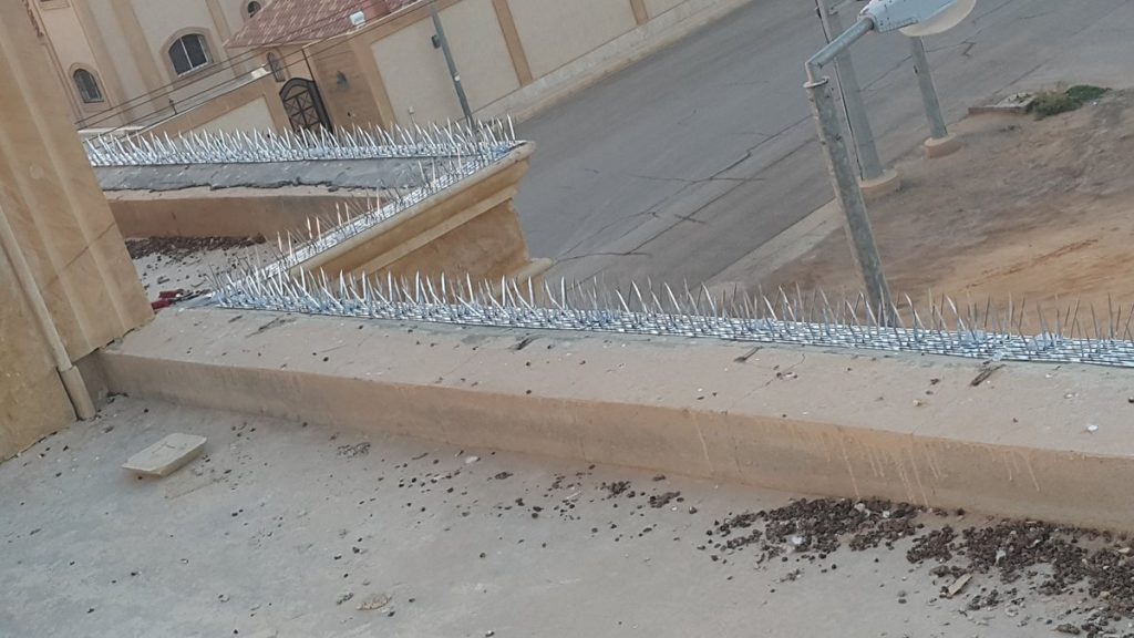شركه تركيب طارد الحمام