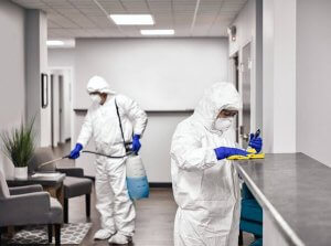 شركة ابادة الحشرات