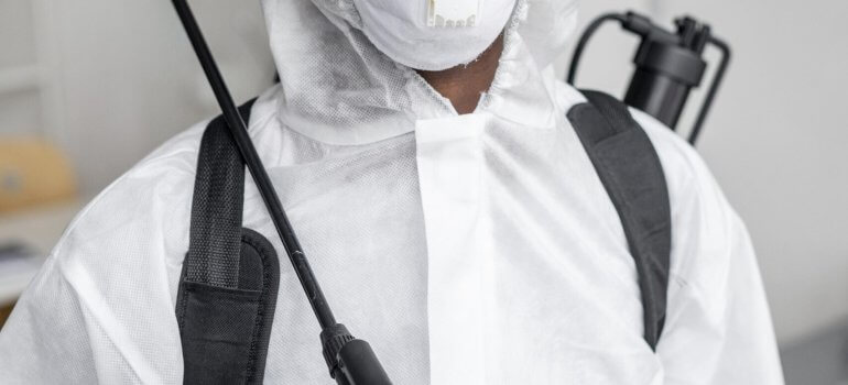 مكافحة حشرات الفراش بالدمام مكافحة حشرات الفراش بالدمام
