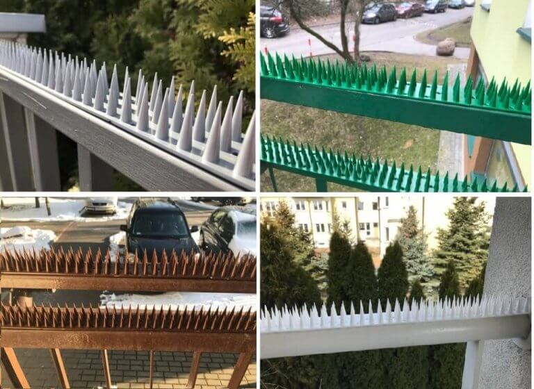 تركيب طارد الحمام بالظهران