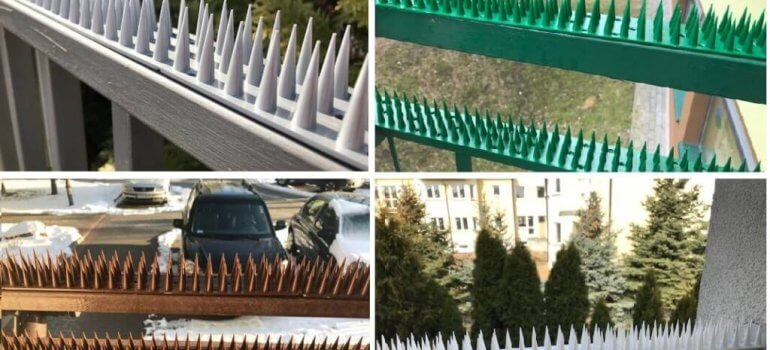 تركيب طارد الحمام بالظهران تركيب طارد الحمام بالظهران