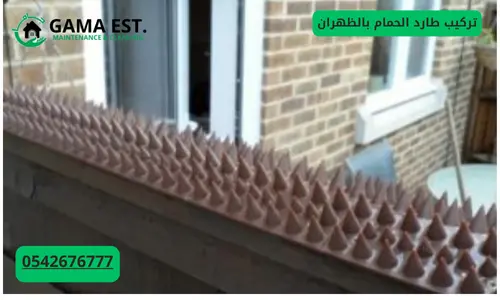 شركة طرد الحمام بالاحساء