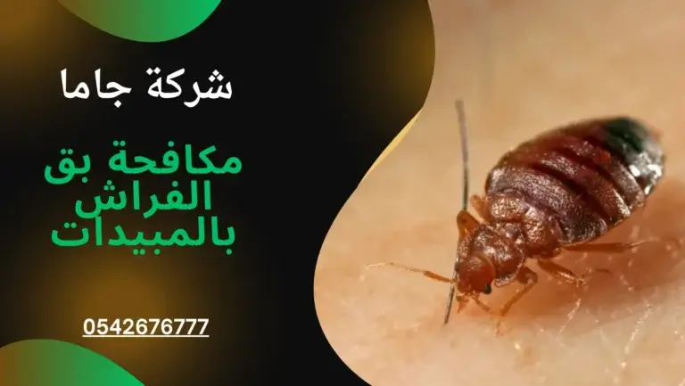 شركات تنظيف بالدمام الخبر