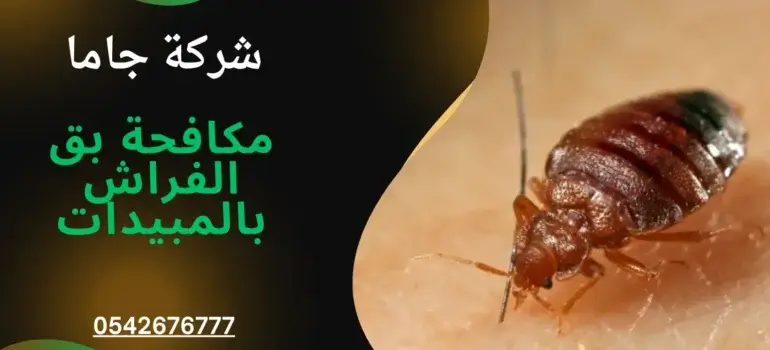 شركات تنظيف بالدمام الخبر شركات تنظيف بالدمام الخبر