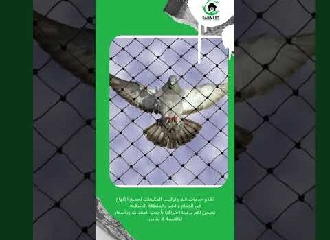 تركيب طارد الحمام بالظهران تركيب طارد الحمام بالظهران