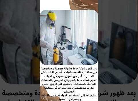 فيديو: شركة مكافحة حشرات معتمدة بالظهران فيديو: شركة مكافحة حشرات معتمدة بالظهران