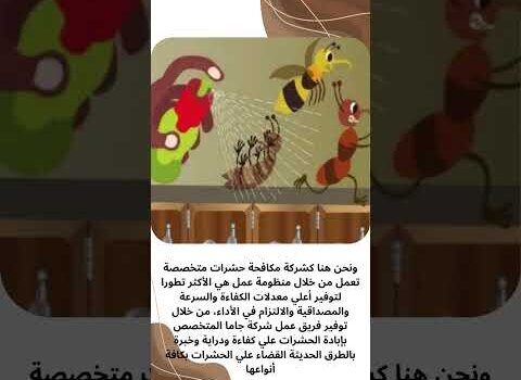 فيديو: افضل شركة مكافحة الحشرات بالجبيل فيديو: افضل شركة مكافحة الحشرات بالجبيل
