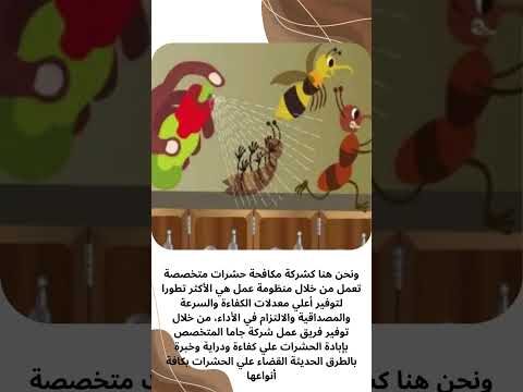 فيديو: افضل شركة مكافحة الحشرات بالجبيل فيديو: افضل شركة مكافحة الحشرات بالجبيل