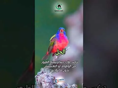 فيديو: شركة تركيب طارد الحمام فيديو: شركة تركيب طارد الحمام
