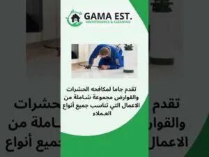 فيديو: شركة لمكافحة الحشرات بالخبر