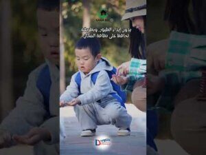 فيديو: تركيب طارد الحمام بالجبيل فيديو: تركيب طارد الحمام بالجبيل