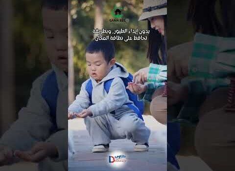فيديو: تركيب طارد الحمام بالجبيل فيديو: تركيب طارد الحمام بالجبيل