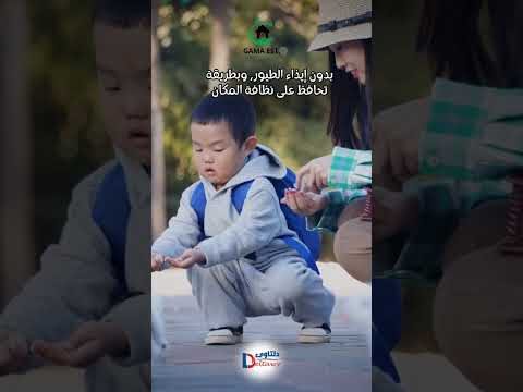 فيديو: تركيب طارد الحمام بالجبيل