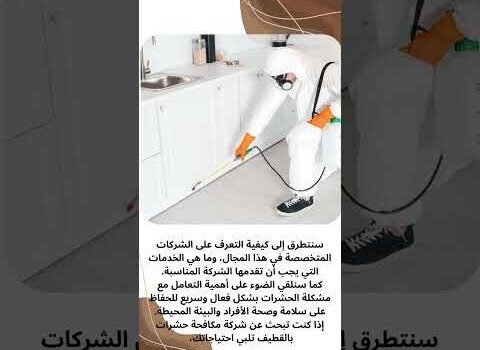 فيديو: شركة مكافحه حشرات بالقطيف فيديو: شركة مكافحه حشرات بالقطيف