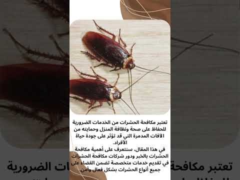 فيديو: شركات مكافحة حشرات بالخبر فيديو: شركات مكافحة حشرات بالخبر