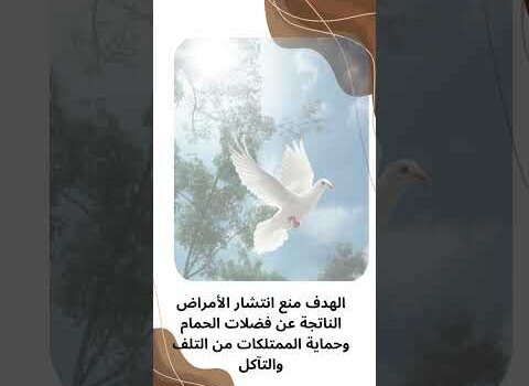 فيديو: تركيب طارد حمام بالخبر فيديو: تركيب طارد حمام بالخبر