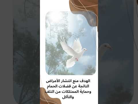 فيديو: تركيب طارد حمام بالخبر فيديو: تركيب طارد حمام بالخبر