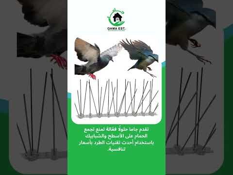 فيديو: شركة مكافحة الحمام