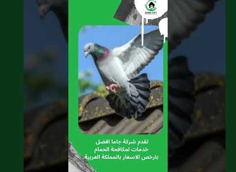 جهاز طارد الحمام جهاز طارد الحمام